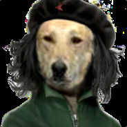 [*W*D*]Kazper The Anarchist Dog