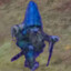 the gnome