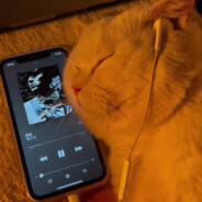 无敌超级霹雳暴龙战士