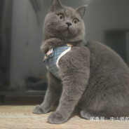 她说超薄也有距离