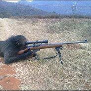 Sniper Monke