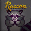 Raccoon Rico