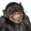Andy