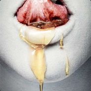 套路特浅，行情特差