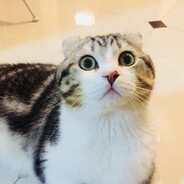 玩蛇