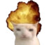 :catexplode:
