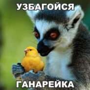 六 = = 六BP2022.cc