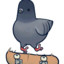 ThePigeon102