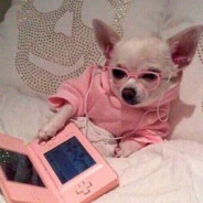 Треска в молоке