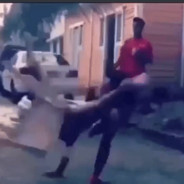 Nibba on a chair
