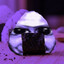 Ao Onigiri