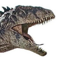 大龙嚼俱乐部戴纳索1号