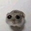 pocket smoocher's avatar