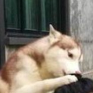 满船清梦压星河