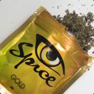 Спайс навсегда