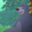 Baloo the bear