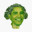 Barackolii