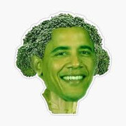 Barackolii