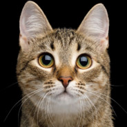 千变万变缘分不变