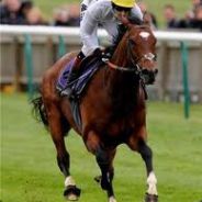 __][-HoRsE-][__ - steam id 76561197963210144