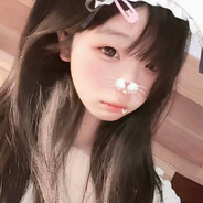 马户先生的乐子小姐