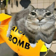 Opanki263 - steam id 76561198380287271