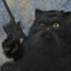 КотМарли