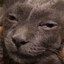 sneeze