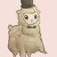 Mata_alpacas