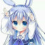 loli14