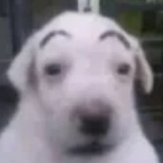 Gort