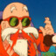 Maestro Roshi