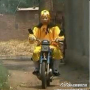 tu-fei-zhu