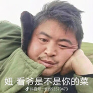 碰柑他是有点han