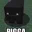 Pigga