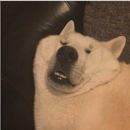 极速快递，想寄就寄