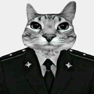 Аватар hehbebcjjf6