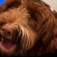 Cuppa noodles⇆Trading