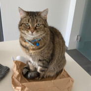 Bistou - steam id 76561198984769729