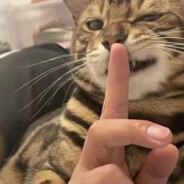 贵中第一巴图鲁