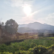 梦想成为嘎啦给木男主