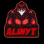 SeniorAlinYT