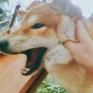 万物不及姑娘你