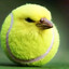 TennisBird