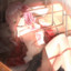 Inori