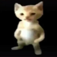 Botifarri avatar