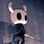 the hollow knight