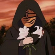 相册里的她好看么