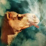 porros a picatostes avatar