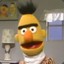 Bert